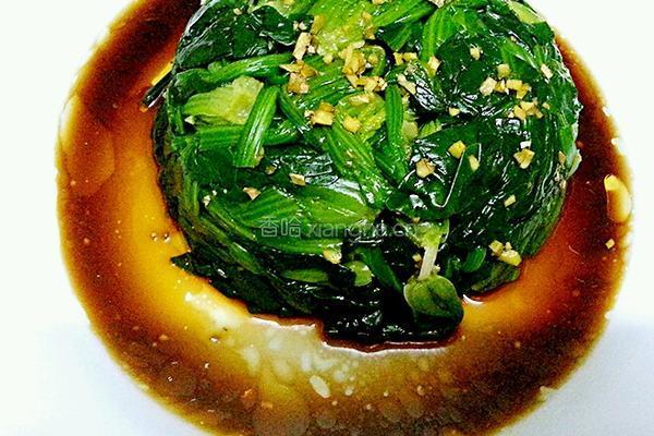 姜汁菠菜的做法图解6