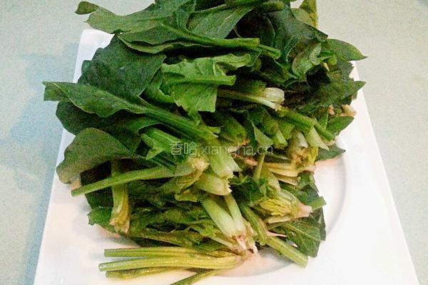 姜汁菠菜的做法图解2