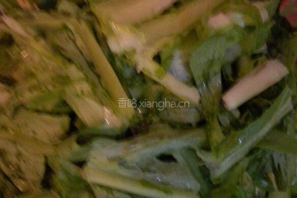 甜苦麦菜的做法图解2