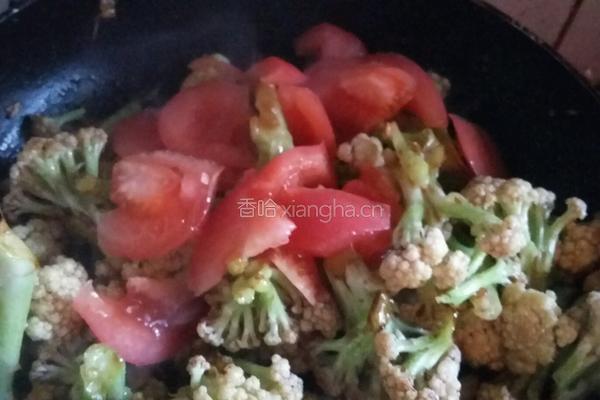 西红柿炒菜花的做法图解5
