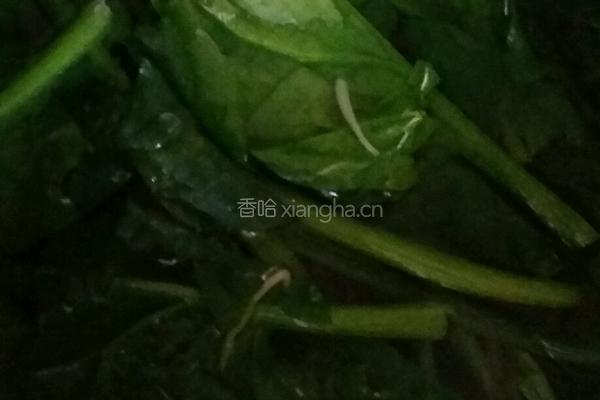 小拌菜的做法图解2