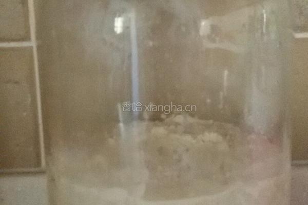 甜酒酿（醪糟）的做法图解6