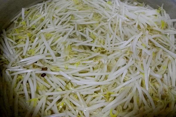 凉拌绿豆芽的做法图解1