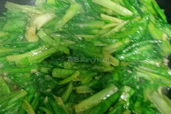 蒜蓉油麦菜的做法图解4