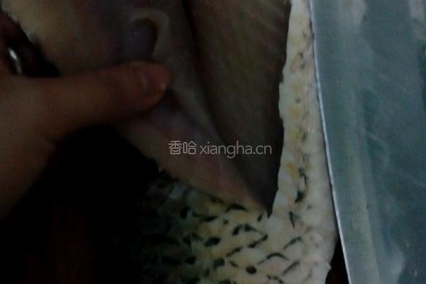 酸菜鱼的做法图解2