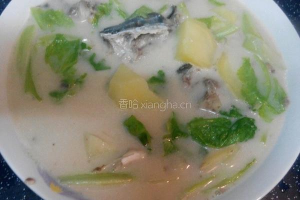 鱼头土豆养生汤的做法图解9