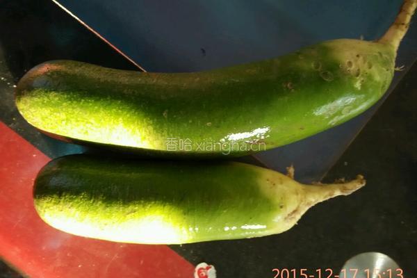 青萝卜猪肉水饺的做法图解1