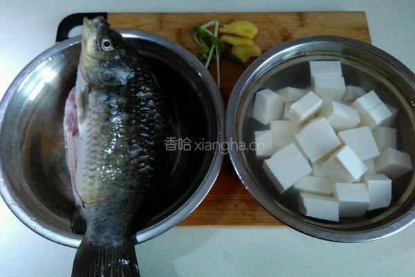 鲫鱼豆腐汤的做法图解1