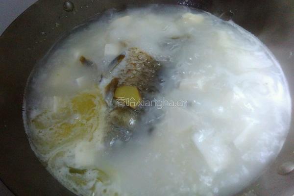 鲫鱼豆腐汤的做法图解4