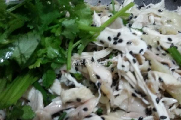 手撕鸡的做法图解6