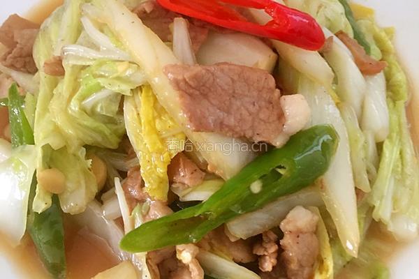 土猪肉炒白菜的做法图解7