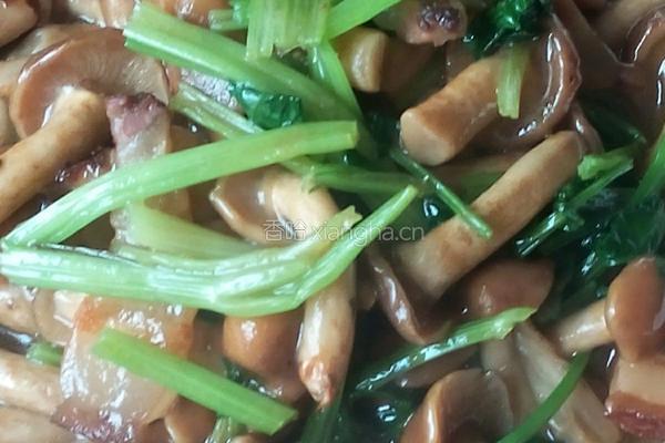 腊肉炒滑子菇的做法图解4