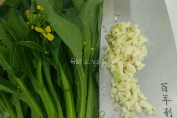 蒜蓉油菜花的做法图解1