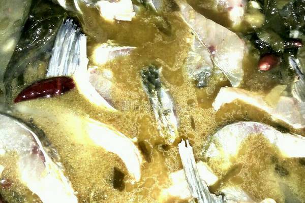 家庭版简易酸菜鱼的做法图解8