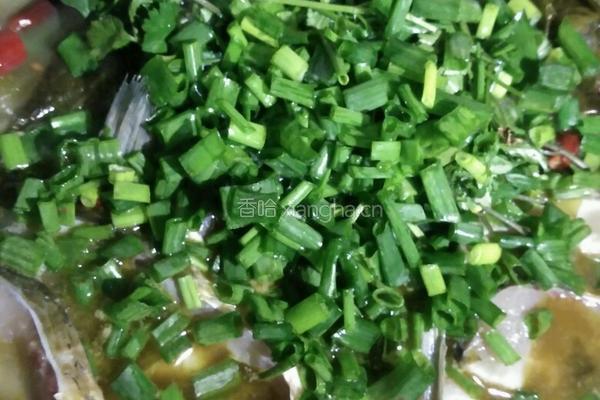 家庭版简易酸菜鱼的做法图解9