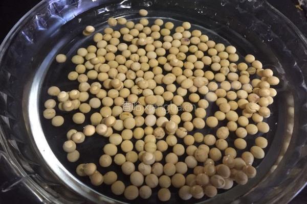 自制水豆腐（豆腐脑）的做法图解1