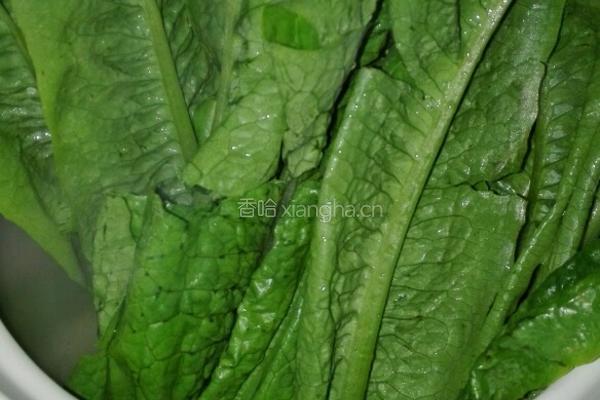 莴笋叶砂锅粉丝的做法图解7