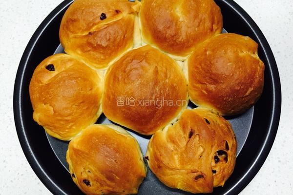 蔓越莓乳酪牛奶小面包的做法图解3