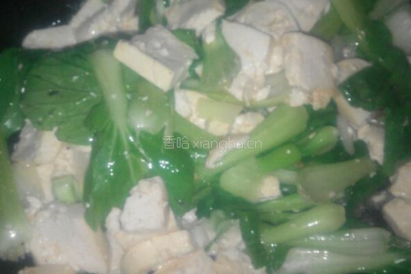 青菜炖豆腐的做法图解5