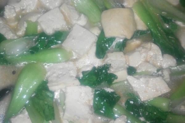 青菜炖豆腐的做法图解6
