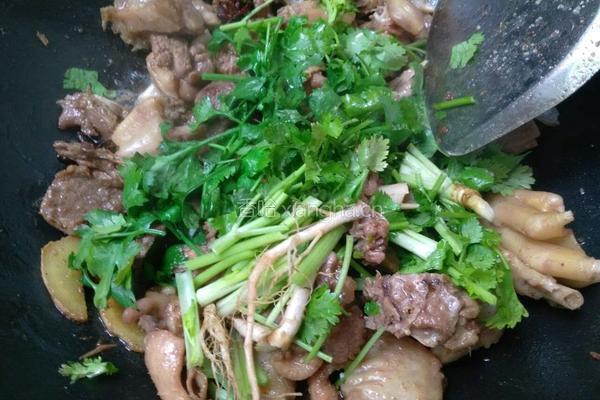 啤酒鸭的做法图解5