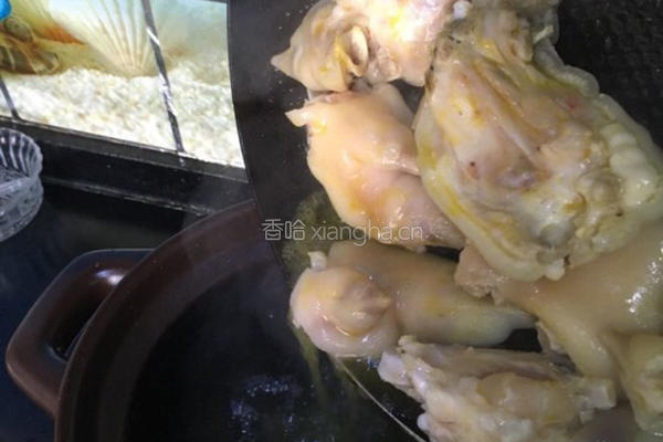 猪脚菌菇汤的做法图解7