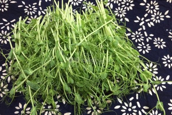 清清白白——豌豆苗豆腐汤的做法图解1