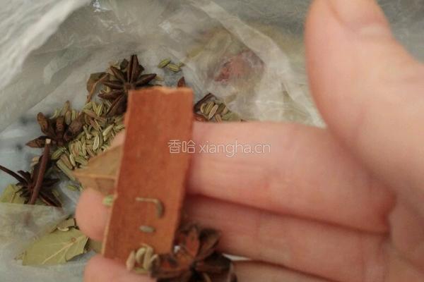牛腩焖萝卜的做法图解2