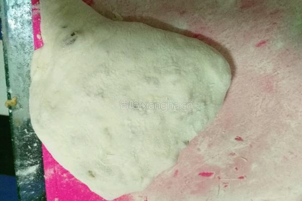 洋葱肉饼的做法图解10