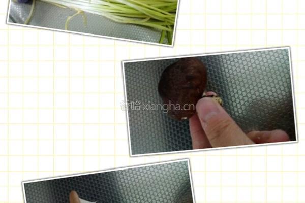 蘑菇一家亲的做法图解1