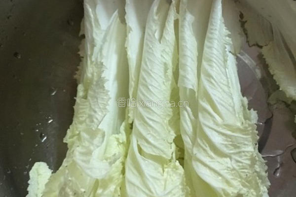 彩色饺子的做法图解5