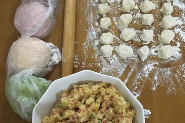 彩色饺子的做法图解11