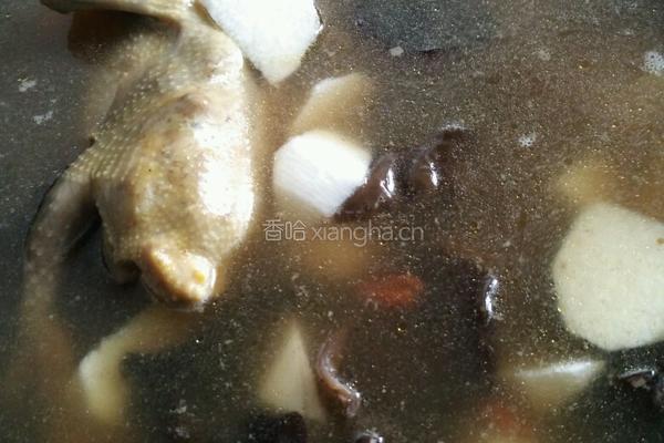 鸽子汤的做法图解7