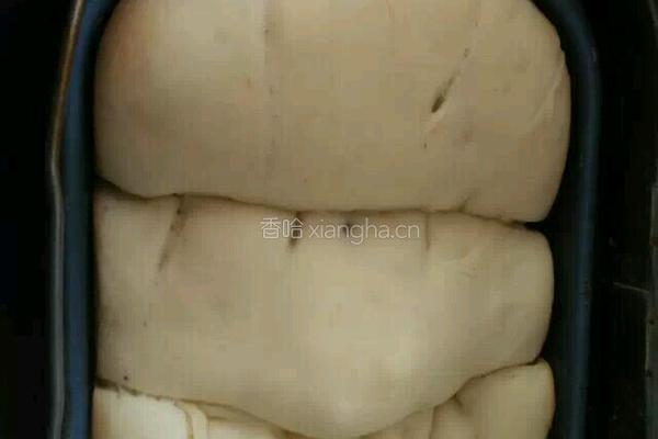 面包机豆沙面包的做法图解4