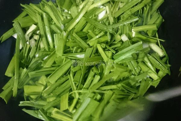 大蒜炒干丝的做法图解4
