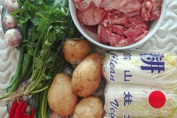 砂锅羊肉的做法图解1