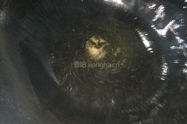 水煮鱼/沸腾鱼的做法图解8