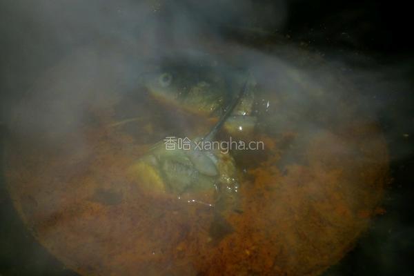 水煮鱼的做法图解10