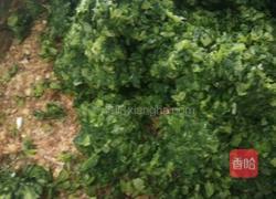 香芹牛肉饺子的做法图解7