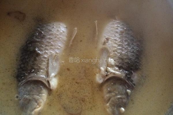 野生鲫鱼汤的做法图解3