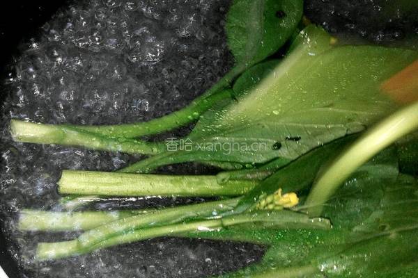 清煮油菜的做法图解2