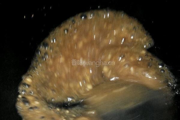 清煮油菜的做法图解4