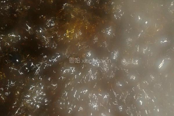 自制冰糖山楂的做法图解4