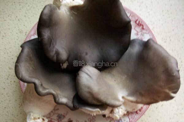 火锅鸡的做法图解5