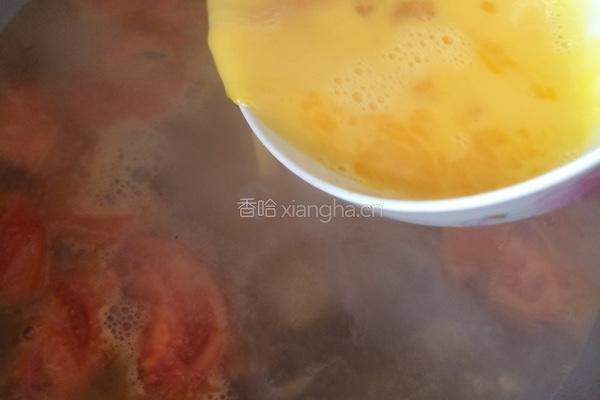 西红柿蛋花面的做法图解7