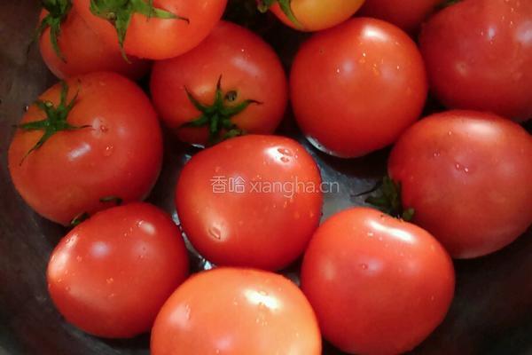西红柿鸡蛋卤的做法图解1