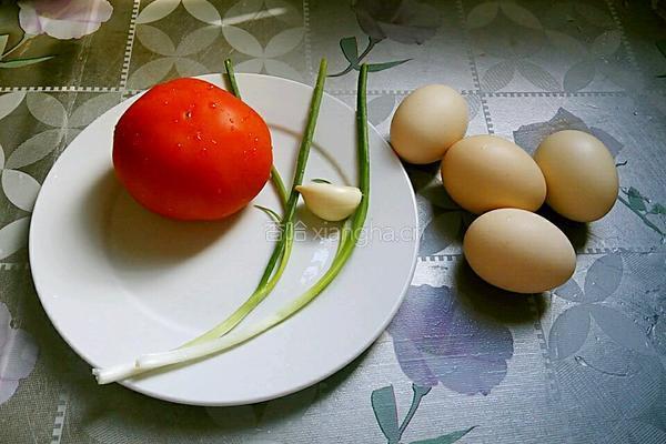 番茄丁煎蛋的做法图解1