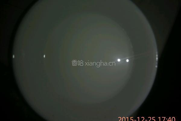 糖醋藕丸子的做法图解14
