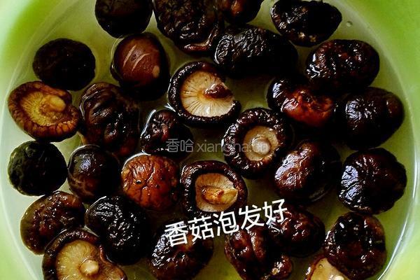 电高压锅无水炖鸡的做法图解3