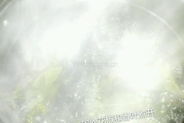 电高压锅无水炖鸡的做法图解4
